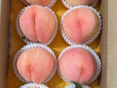 -老袁家蜜桃农场·阳山水蜜桃