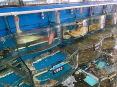 水产区-渔中舟海鲜大排档(普陀沈家门店)