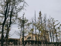 -府河摄影公园
