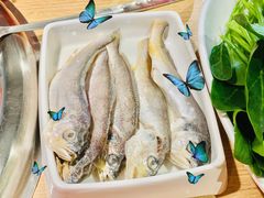 小黄鱼-季季红火锅(新建新城吾悦店)