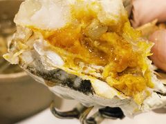 -黄记大闸蟹专卖店·活蟹·醉蟹