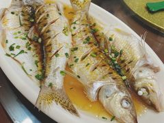 -呼吸森林·生态农庄农家乐私房菜