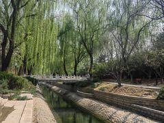 -菖蒲河公园