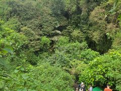 -海口火山口国家地质公园