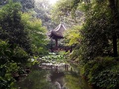android_upload_pic-东航云逸酒店(九溪烟树店)