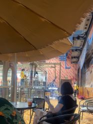 -卡通尼·Safari非洲探索乐园·生日会(金桥国际商业广场店)