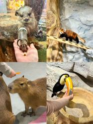 -Zoolung Zoolung动物主题公园(海信广场店)