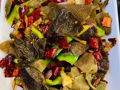 -壮壮馋嘴蛙(商业餐饮文化一条街店)