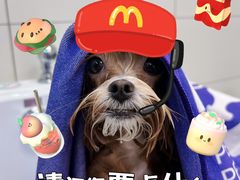 -帕帕拉兹宠物(亚洲旗舰店)