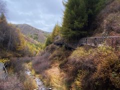 -苏木山森林公园