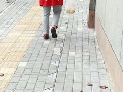 -袁大头包子(光华路店)