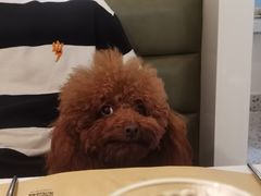 -春树下·树屋花房西餐厅(罍街AS1980店)