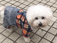 -爱侣宠医·鹦鹉专科·小型哺乳类·异宠专科(灵石路店)