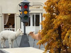 -Blue Concept Cafe&Farm·關於藍
