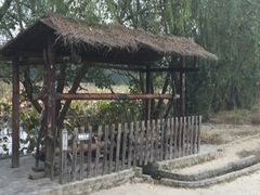 -溱湖国家湿地公园