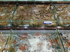 -新海利海鲜城·41年珠海老字号(夏湾店)