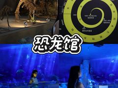 -中国西峡恐龙遗迹园