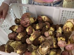 -双喜农庄·菌香园(安居家园店)