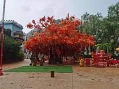 -郑州方特梦幻王国