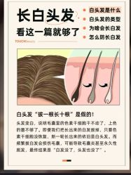 -Bollins波林丝•专研护发中心