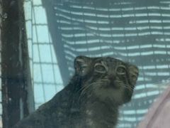 -青藏高原野生动物园