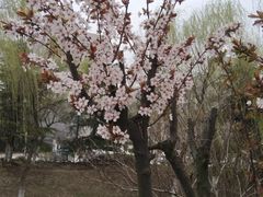 -江南大学(蠡湖校区)