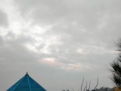 -5号餐厅
