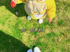 -昆山城市生态森林公园