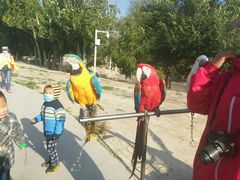 -新疆天山野生动物园