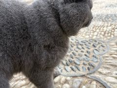 -李叔同故居纪念馆