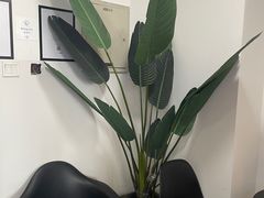 -红像馆连锁精致证件照职场照(中关村店)
