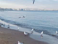 -老虎石海上公园