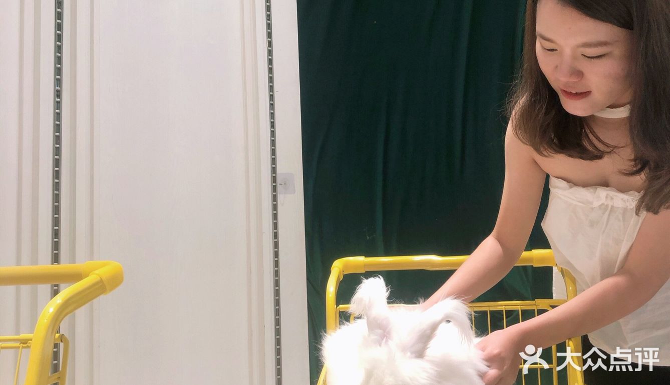 毛孩子控的福音来了