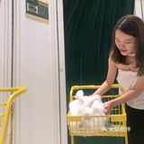 毛孩子控的福音来了