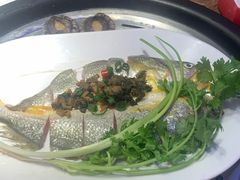 -苏大嘴蒸汽海鲜·海胆蒸饺(中山广场店)
