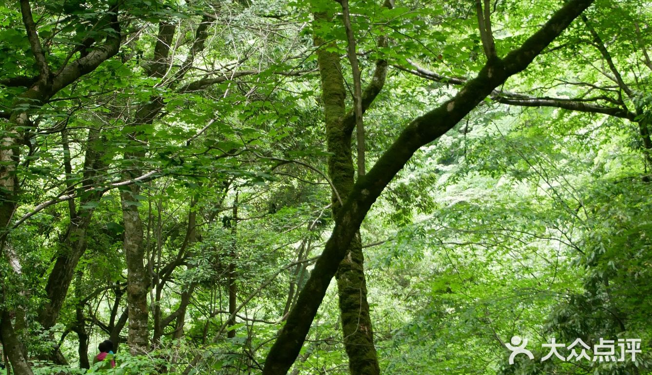 山脚下放有简易的登山杖,如果是对登山没信心的小伙伴