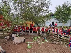 -宾果蒙特梭利托育儿童之家幼儿园(爱琴海店)