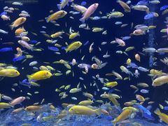 -成都浩海立方海洋公园