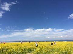 景点-青海湖国家重点风景名胜区
