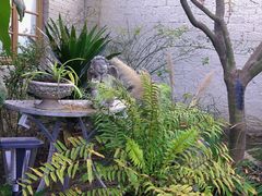 -Jo's Garden