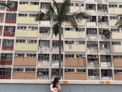 -彩虹村