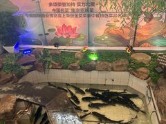 -春盛渔府(牛首山店)