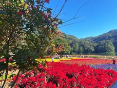-广州市石门国家森林公园