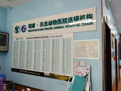 -瑞派·关忠动物医院·异宠专科·犬猫肿瘤·皮肤专科(望京店)