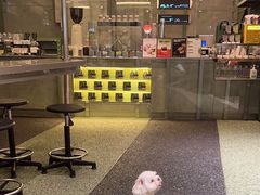 -Ann COFFEE(来福士店)