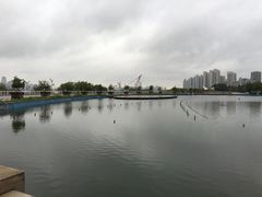 -秋水广场音乐喷泉