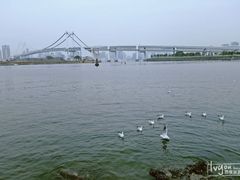 -台场海滨公园船码头