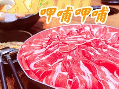 -呷哺呷哺(松江开元店)