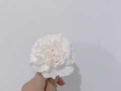 -胖嫂烧烤(武胜路总店)