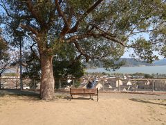 -东钱湖旅游度假区